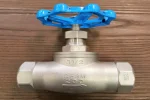Stainless globe valve